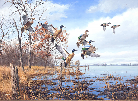 Blue-Winged Teal by David A. Maass (b. 1929) brought $21,250 against the $6000/9000 estimate. Out of over 220 paintings by Maass over the last quarter century, only three depicting blue-winged teal have surfaced; this example is thought to be the finest. The oil on board, 24