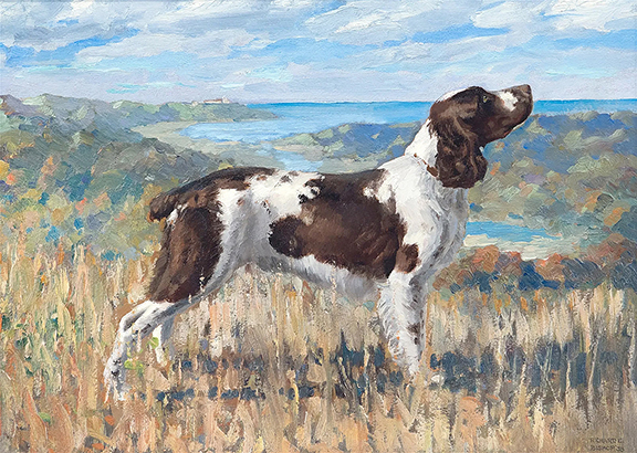 This portrait, Hollybrook Abandon by Minnesota artist Richard Evett Bishop (1887-1975), depicts the most famous English springer spaniel to have undergone field trials in the U.S. The oil on board, 11½