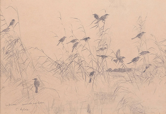 Frank Weston Benson’s circa 1920 pencil drawing Blackbirds and Rushes is signed “F.W. Benson” and titled and inscribed “To Sylvia.” Sylvia was the artist’s youngest child, and the drawing, a 9¼