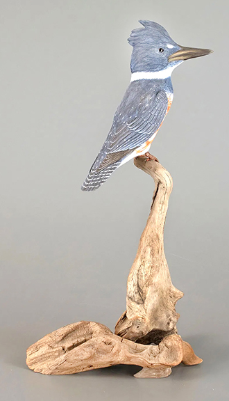 The life-size female belted kingfisher with reddish brown feathering on her underside, 20