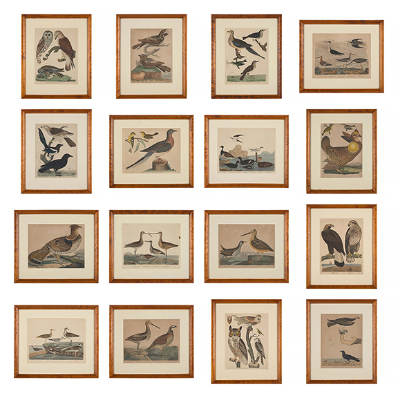 This set of 16 hand-colored engravings of various birds, published 1808-14, by Alexander Lawson (c. 1773-1846) and John G. Warnicke (d. 1818), after Alexander Wilson (1766-1813), sold for $10,880 (est. $3000/5000).