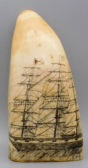 This scrimshaw whale tooth, 6½